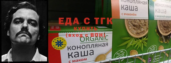 шишки Алзамай
