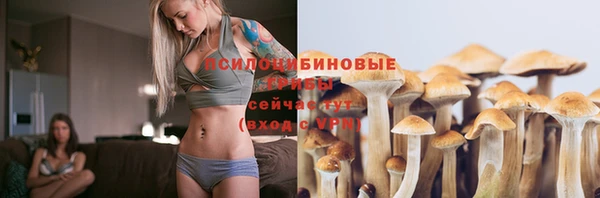 крисы Россошь