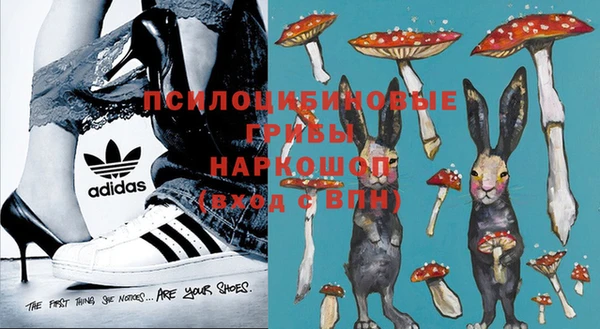 шишки Алзамай