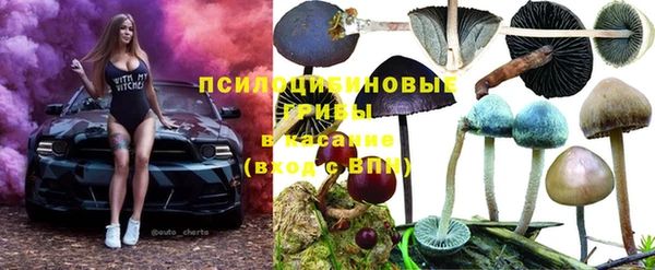 амф Алексеевка