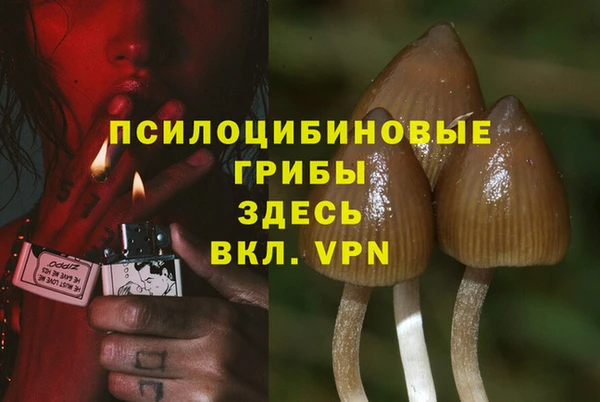 амф Алексеевка