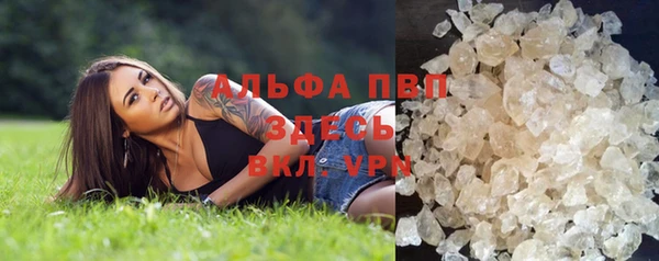 винт Алексин
