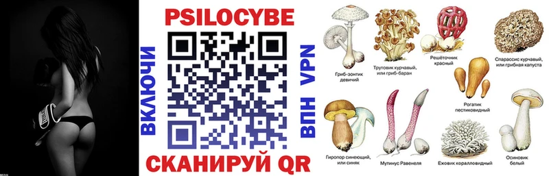 дарк нет официальный сайт  Пенза  Галлюциногенные грибы прущие грибы 