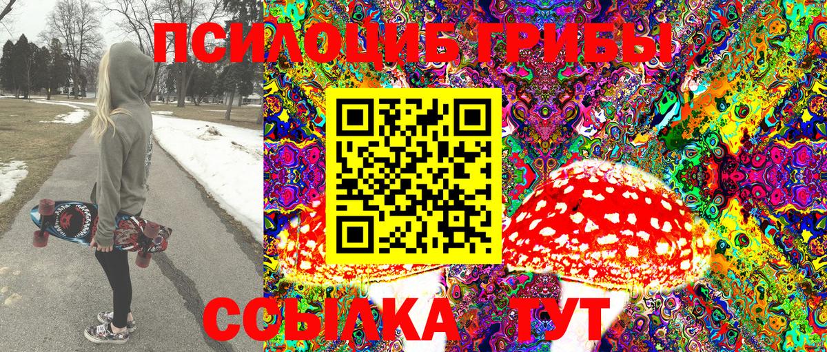 Псилоцибиновые грибы Cubensis Пенза