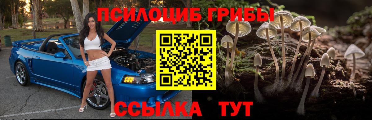 дарнет шоп  Вход с VPN  Пенза  Псилоцибиновые грибы MAGIC MUSHROOMS 