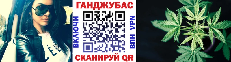 Каннабис сатива Пенза